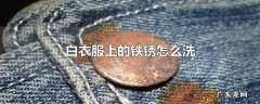 白衣服上的铁锈怎么洗
