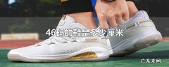 46码的鞋是多少厘米