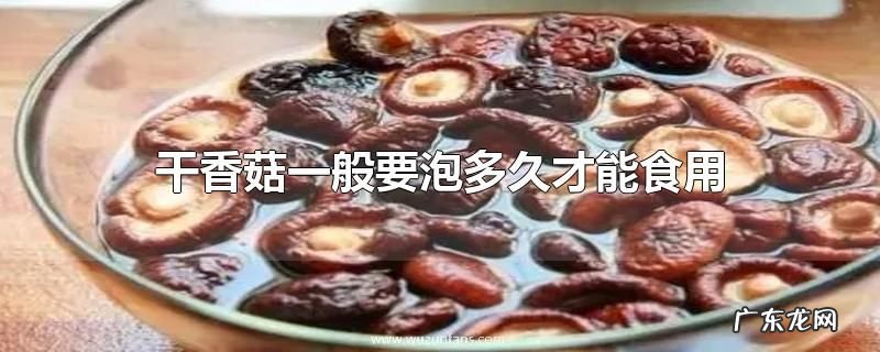 干香菇一般要泡多久才能食用