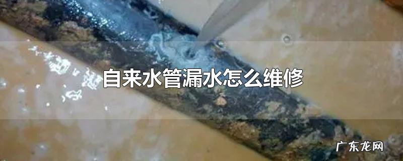 自来水管漏水怎么维修