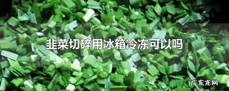 韭菜切碎用冰箱冷冻可以吗
