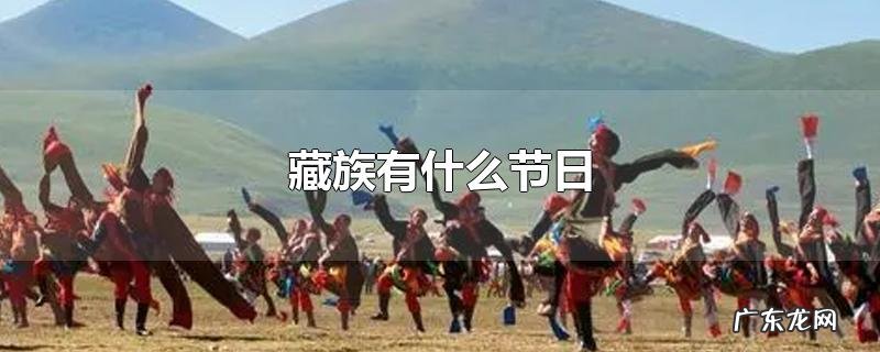 藏族有什么节日