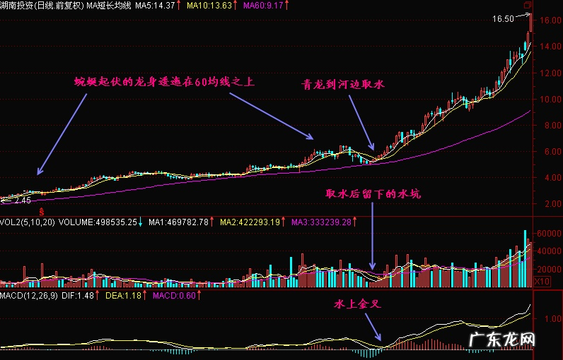 风水宝地龙形图片大全 风水宝地龙头吸水图片