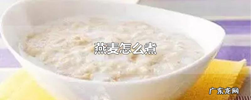 燕麦怎么煮
