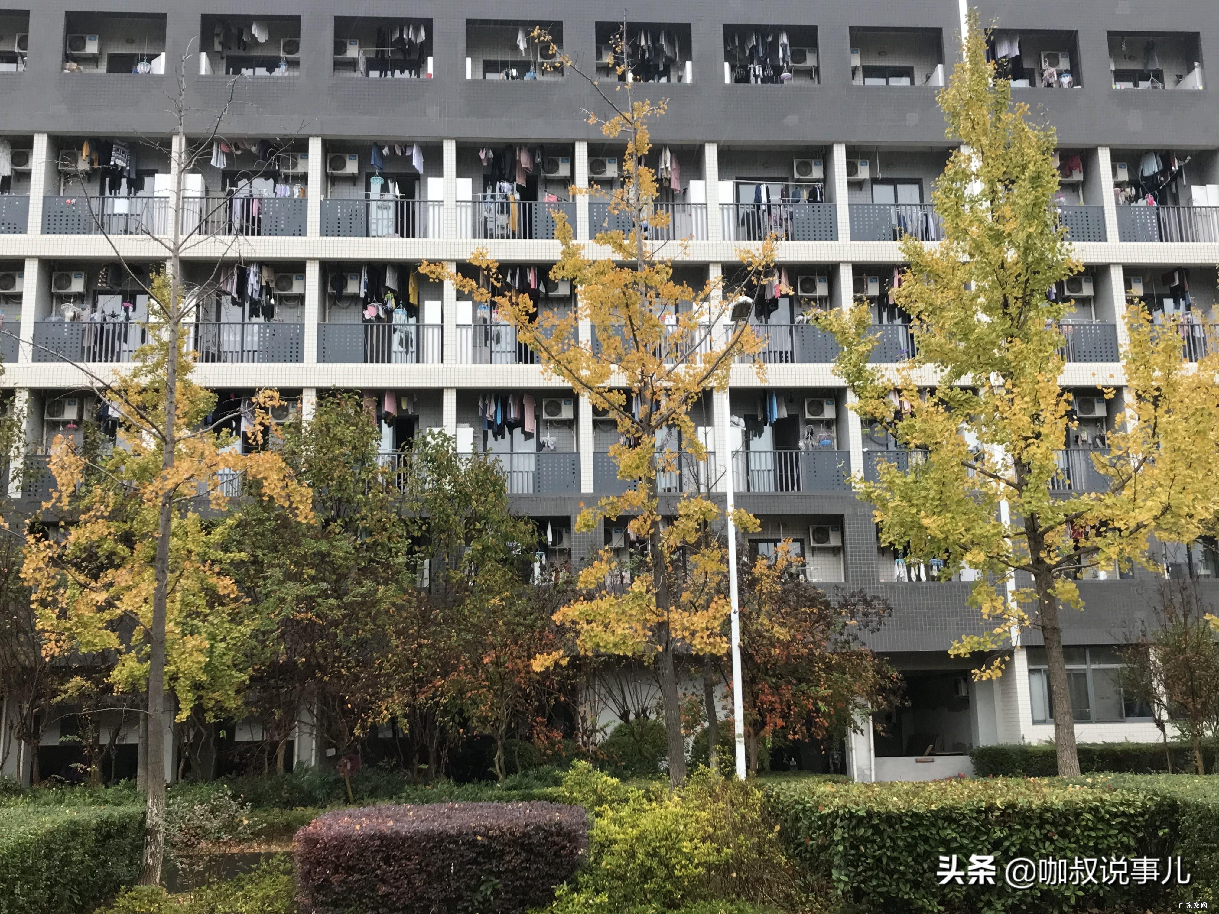 南大仙林校区风水