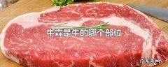牛霖是牛的哪个部位