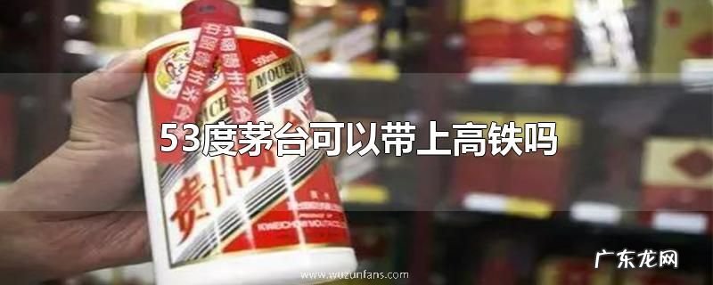 53度茅台可以带上高铁吗