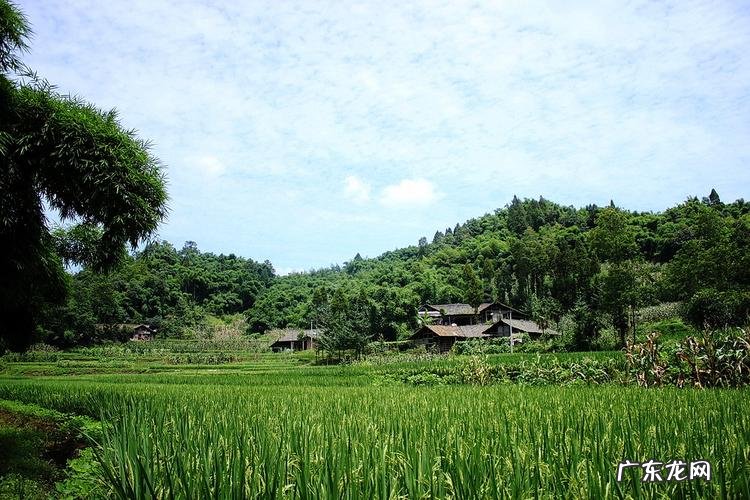桃树风水起什么作用 七棵桃树风水图解