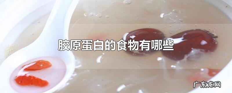 胶原蛋白的食物有哪些