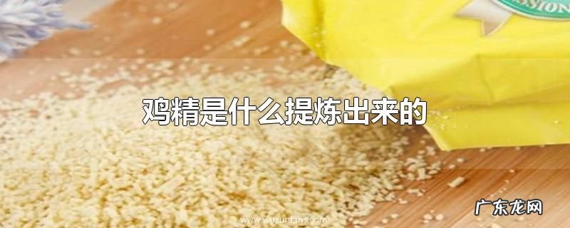 鸡精是什么提炼出来的