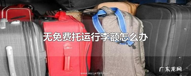 无免费托运行李额怎么办