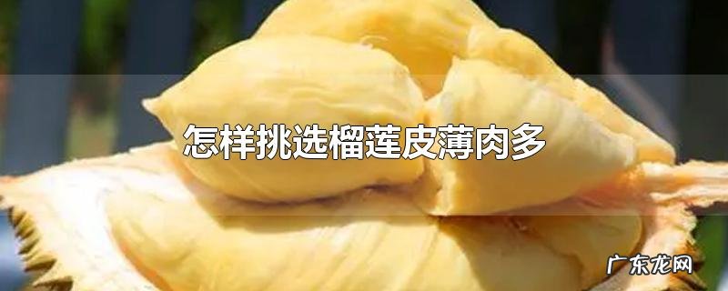 怎样挑选榴莲皮薄肉多