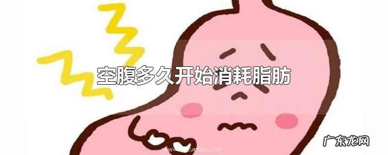 空腹多久开始消耗脂肪