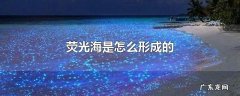 荧光海是怎么形成的