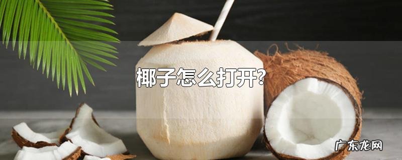 椰子怎么打开?