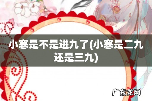 小寒是二九还是三九 小寒是不是进九了