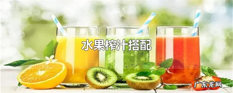 水果榨汁搭配
