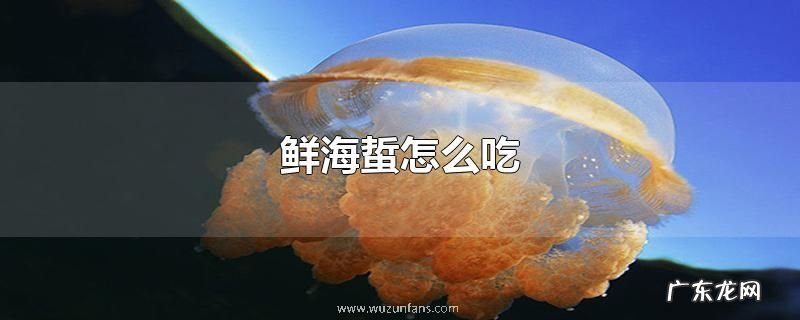 鲜海蜇怎么吃