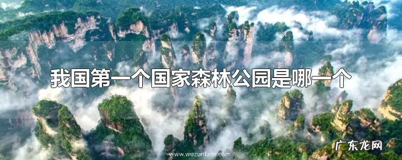 我国第一个国家森林公园是哪一个