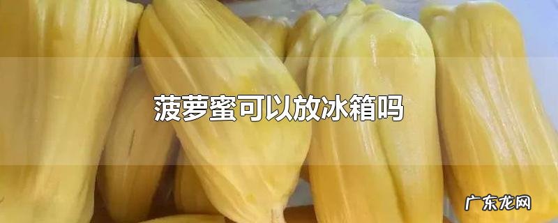 菠萝蜜可以放冰箱吗