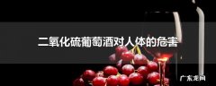 二氧化硫葡萄酒对人体的危害