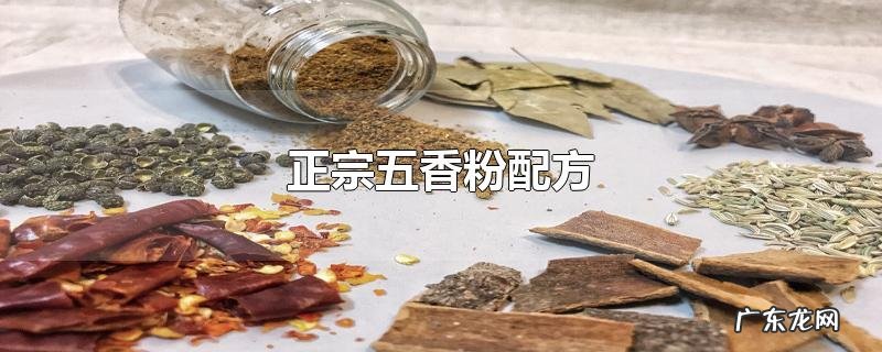 正宗五香粉配方