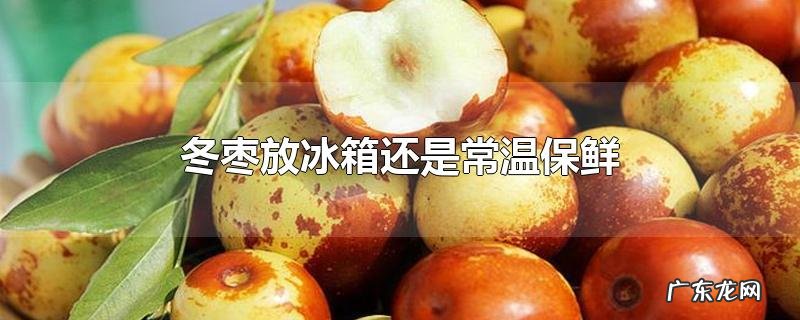 冬枣放冰箱还是常温保鲜