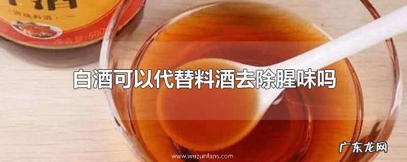 白酒可以代替料酒去除腥味吗
