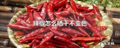 辣椒怎么晒干不变色