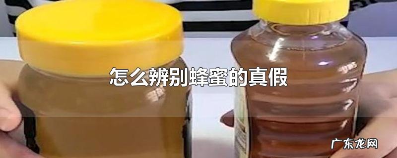 怎么辨别蜂蜜的真假