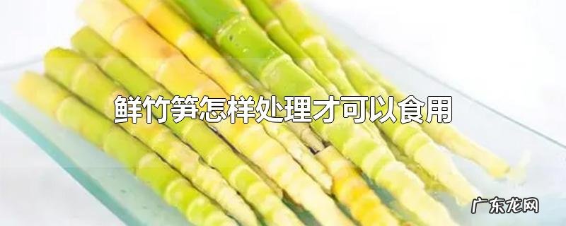 鲜竹笋怎样处理才可以食用