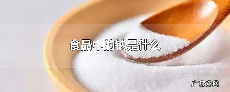 食品中的钠是什么