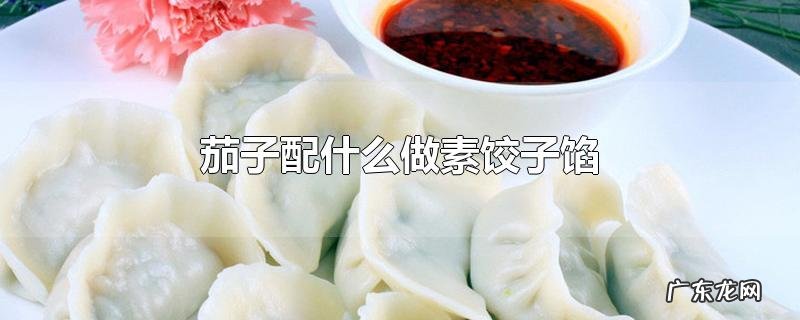 茄子配什么做素饺子馅