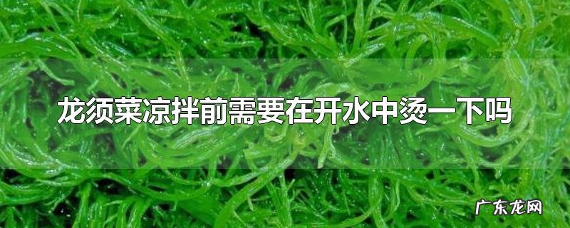 龙须菜凉拌前需要在开水中烫一下吗