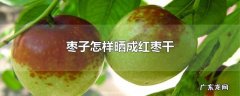 枣子怎样晒成红枣干
