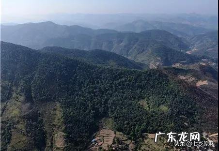 云南古老村落风水图片