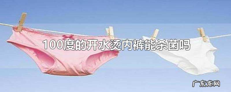 100度的开水烫内裤能杀菌吗