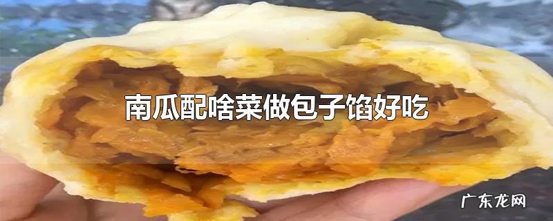 南瓜配啥菜做包子馅好吃