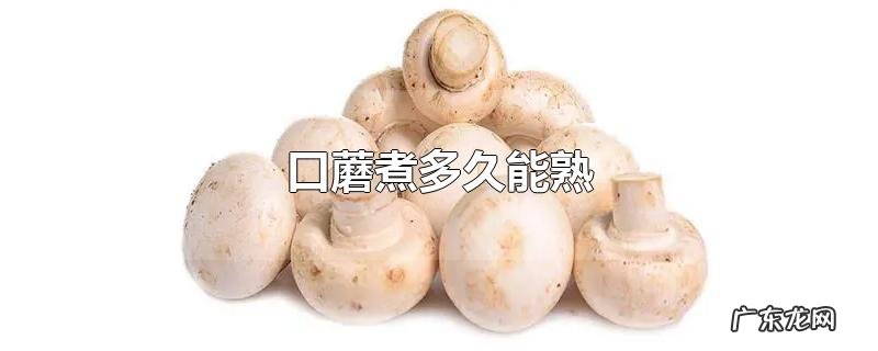 口蘑煮多久能熟