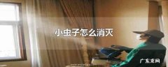 小虫子怎么消灭