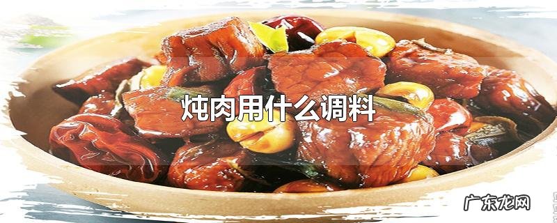 炖肉用什么调料