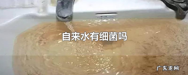 自来水有细菌吗