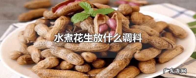 水煮花生放什么调料
