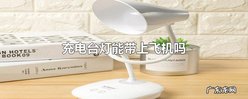 充电台灯能带上飞机吗