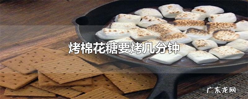 烤棉花糖要烤几分钟