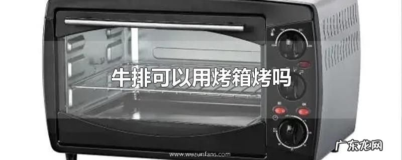牛排可以用烤箱烤吗