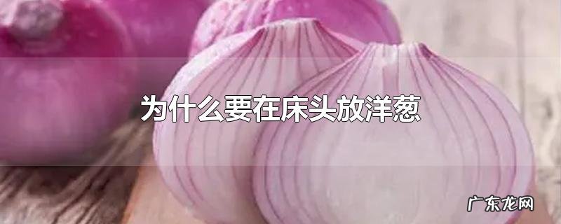 为什么要在床头放洋葱