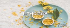 桂花可以泡酒吗