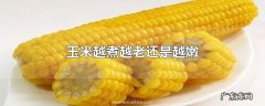 玉米越煮越老还是越嫩