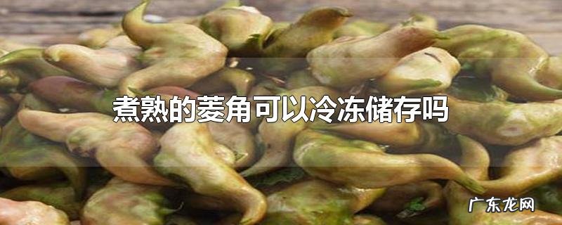 煮熟的菱角可以冷冻储存吗